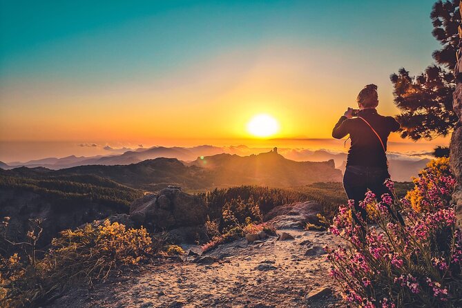 The Volcano Heart Tour: Hiking, Tasting and Sunset Experience - Transport, timing, and the real value of $119.72