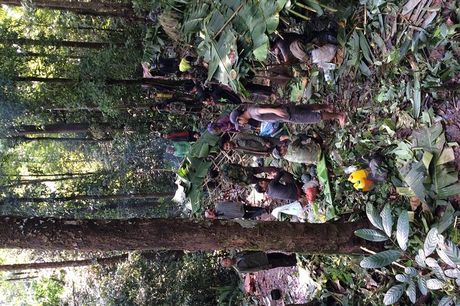 The Wild Explorer - 3 days forest trek with homestay and camping - Day one: seven hours into Nam Ha