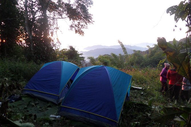 The Wild Explorer - 3 days forest trek with homestay and camping - Day two: forest food and village contact