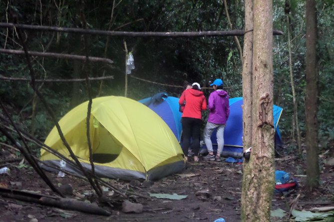 The Wild Explorer - 3 days forest trek with homestay and camping - Day three: the final push and return to town