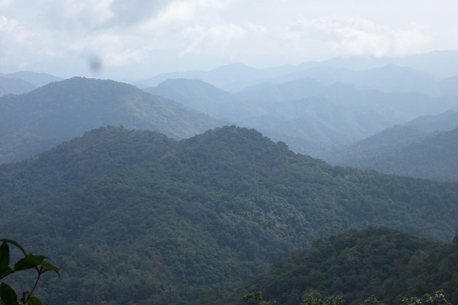 The Wild Explorer - 3 days forest trek with homestay and camping - Wildlife: enjoy the forest, not a guarantee