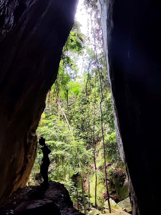 Tijuca Forest´s hike: caves, waterfalls and great views - Who should book this Tijuca Forest walk?