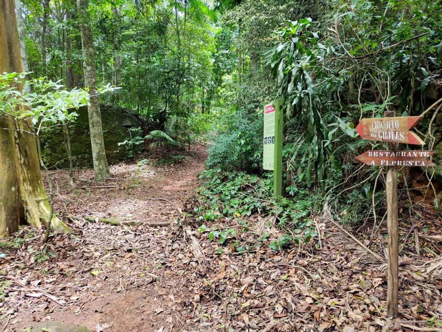 Tijuca Forest´s hike: caves, waterfalls and great views - What the trail feels like underfoot