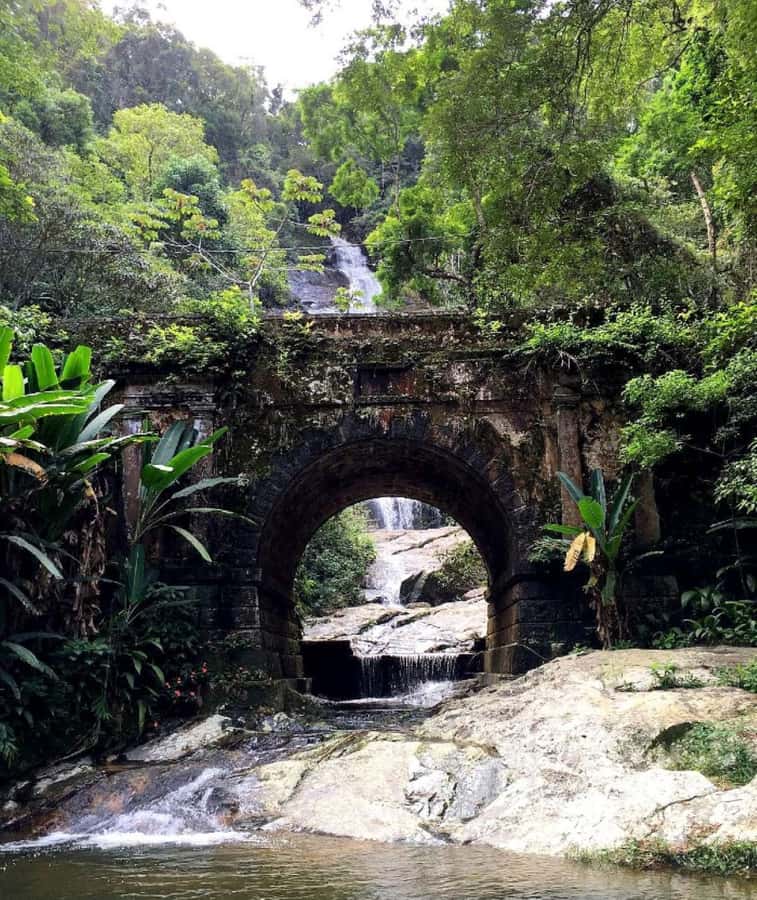 Tijuca Forest´s hike: caves, waterfalls and great views - Why the small group matters