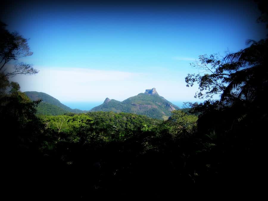 Tijuca Forest´s hike: caves, waterfalls and great views - Weather, flexibility, and what to pack