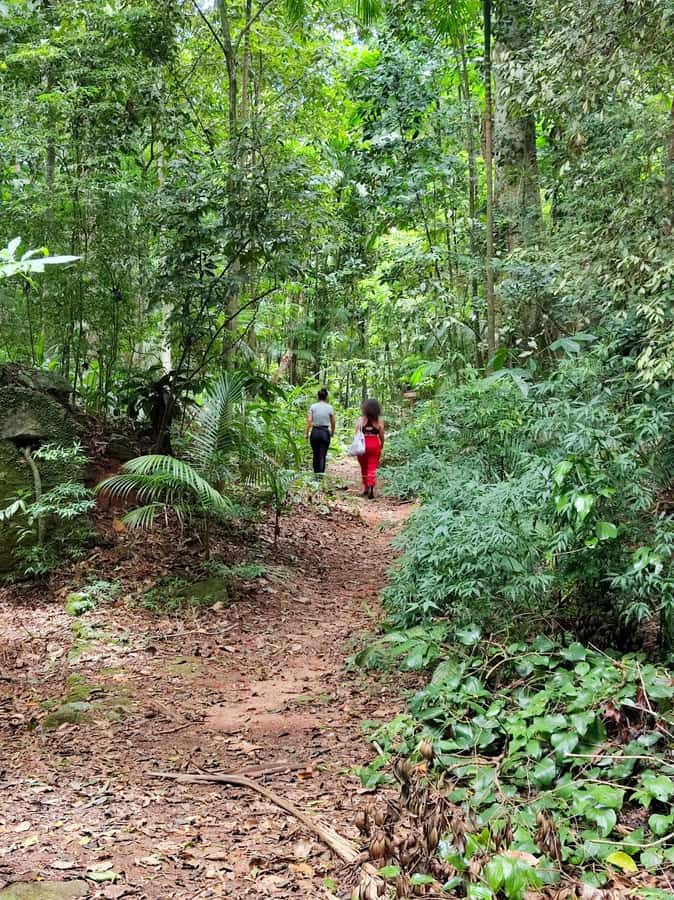 Tijuca Forest´s hike: caves, waterfalls and great views - Cascatinha Taunay makes a strong first stop