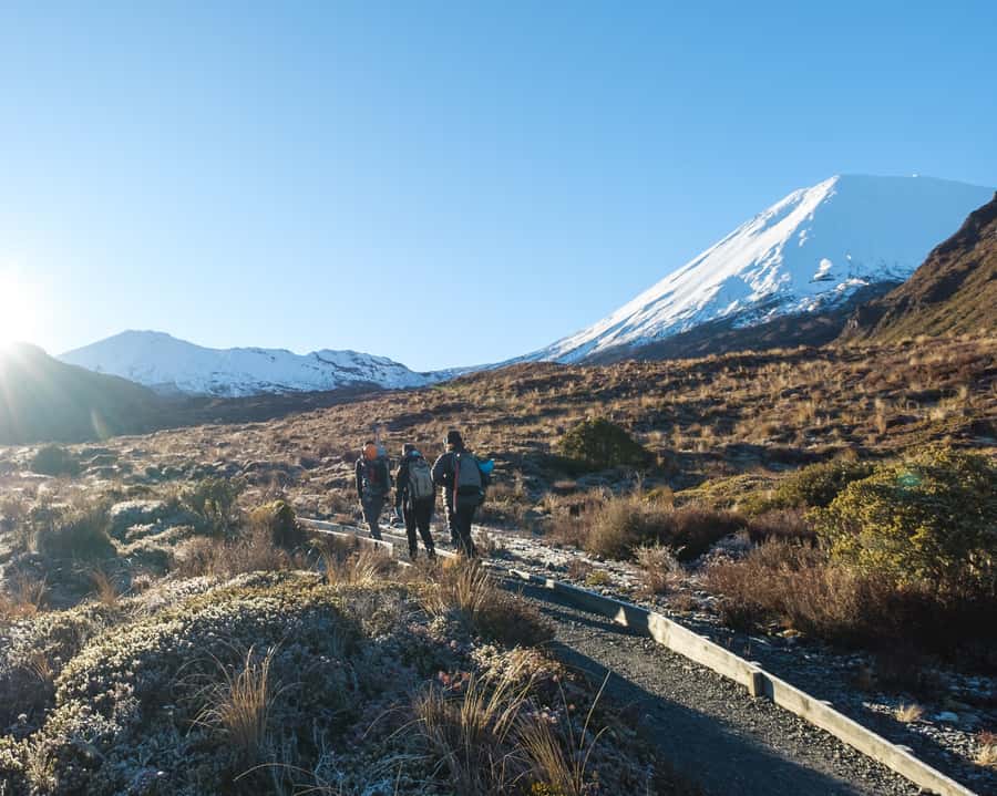 Tongariro Alpine Crossing: Premium Guided Hike - Key points at a glance