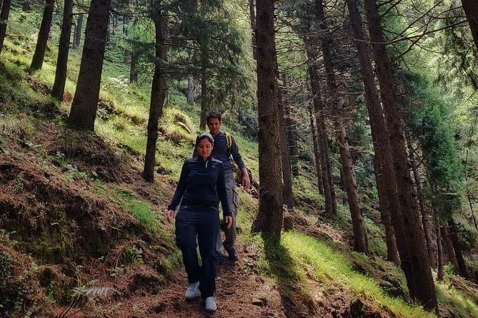 Top Tibba Trek - Mussoorie - The Uphill Section and Fitness Test