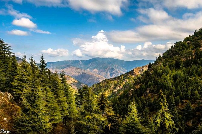 Top Tibba Trek - Mussoorie - Who Should Book This Top Tibba Trek