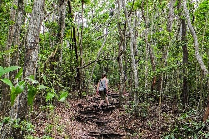Trek Tours Hiking Experience in Antigua - What the guides add to the walk