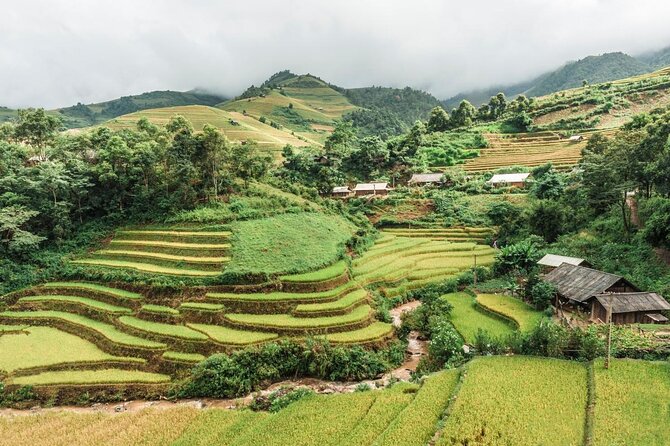 Trekking Through Rice Terraced Fields - 1Day - Key points to know before booking