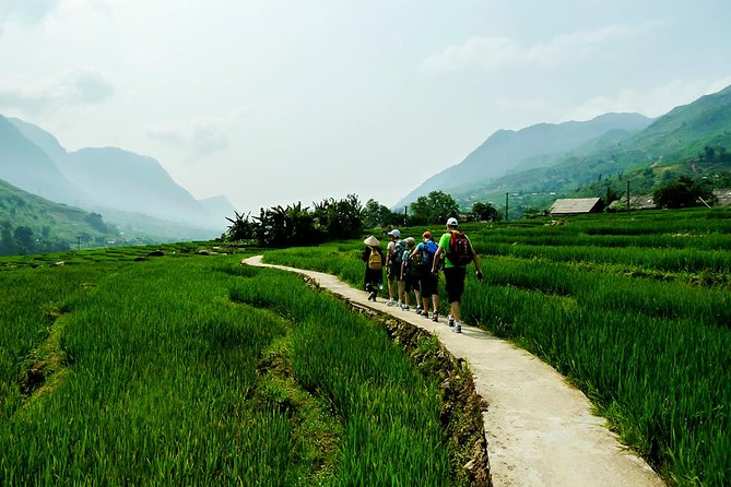 Trekking Through Rice Terraced Fields - 1Day - Lao Chai: Black Hmong culture and a needed pause