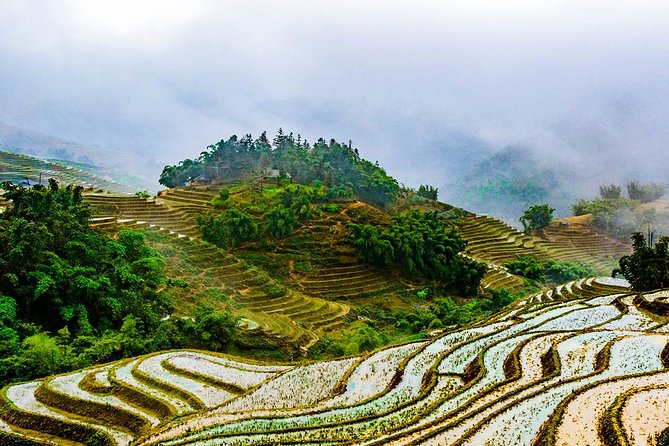 Trekking Through Rice Terraced Fields - 1Day - Ta Van Village and the Giay community