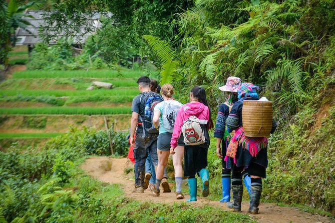 Trekking Through Rice Terraced Fields - 1Day - Is $45 a fair price?