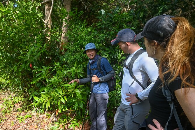 Trekking Tien Son Dinh Phu Quoc - What the six-hour day looks like