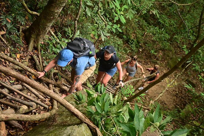 Trekking Tien Son Dinh Phu Quoc - The summit view and the hammock reward