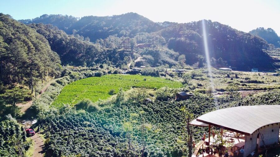 Trekking to Hidden Waterfall & Sturgeon Farm for dog-lovers - Why this small Dalat tour is worth your time