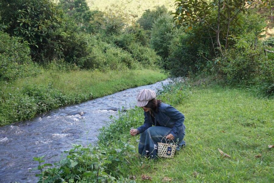 Trekking to Hidden Waterfall & Sturgeon Farm for dog-lovers - Starting the trek with the farm dogs