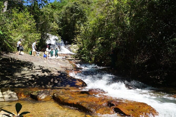 Trekking Tour to Hidden Waterfall & Sturgeon Farm for dog-lovers - Key points before you book