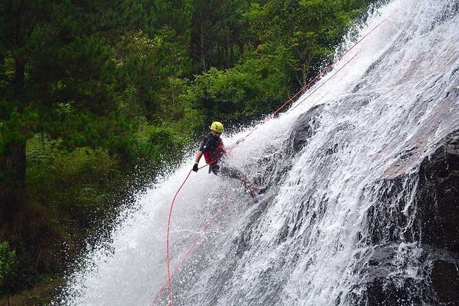 Trekking Tour to Hidden Waterfall & Sturgeon Farm for dog-lovers - What the seven dogs add to the experience