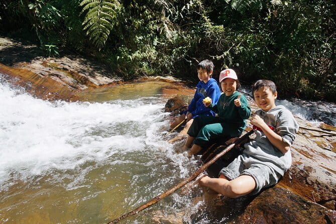 Trekking Tour to Hidden Waterfall & Sturgeon Farm for dog-lovers - Group size, guides, and language