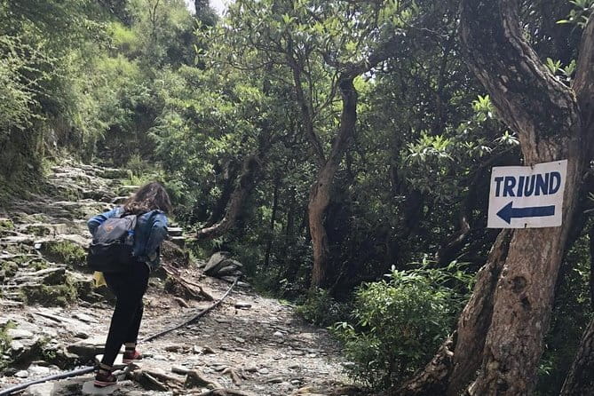 Triund Trek - Starting at McLeod Ganj at 9:00 a.m.