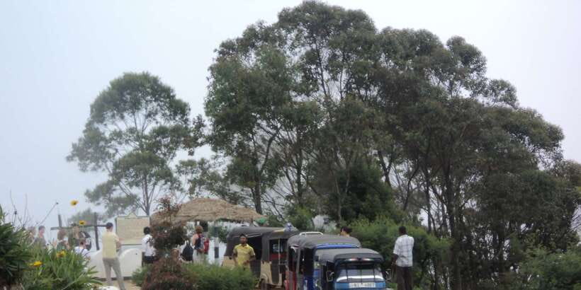 Tuk-Tuk Safari Liptons seat,Tea Fields Hike,TeaFactory Tour - What the guide adds to the day