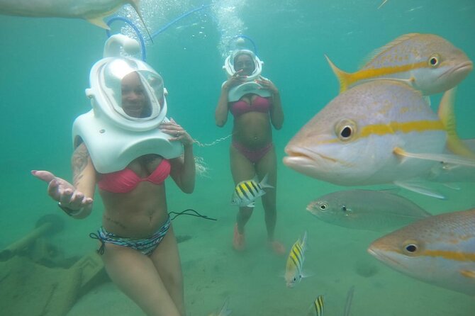 Underwater Sea Trek in San Juan: Explore Beneath the Waves - Starting at the Caribe Hilton’s private beach
