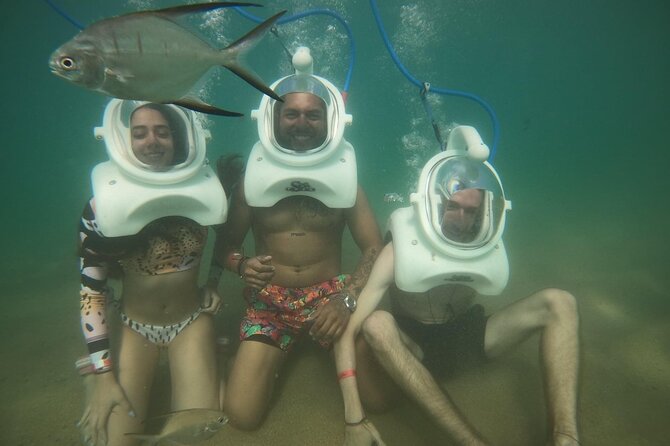 Underwater Sea Trek in San Juan: Explore Beneath the Waves - Looking for fish, squid, octopuses, and starfish