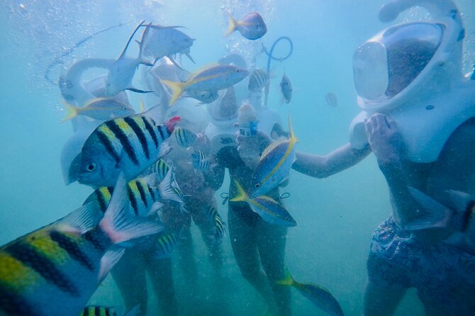 Underwater Sea Trek in San Juan: Explore Beneath the Waves - Photos, videos, and the extra cost