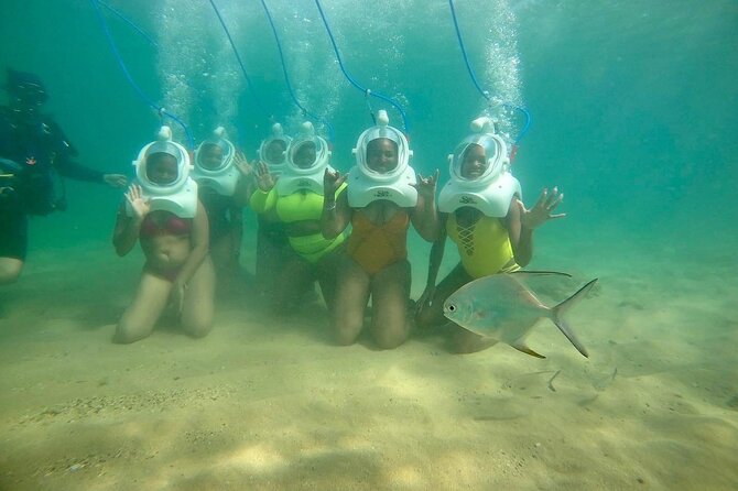 Underwater Sea Trek in San Juan: Explore Beneath the Waves - Who will enjoy this San Juan activity most