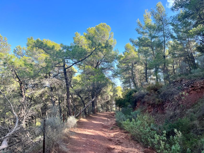 Valencia: Sierra Calderona & El Garbí Mountain hiking Tour - From Sagunto Station to Beselga Castle