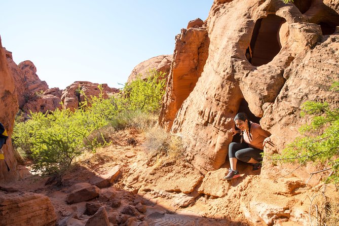Valley of Fire Guided Hike from Las Vegas - Rainbow Vista and the wider view