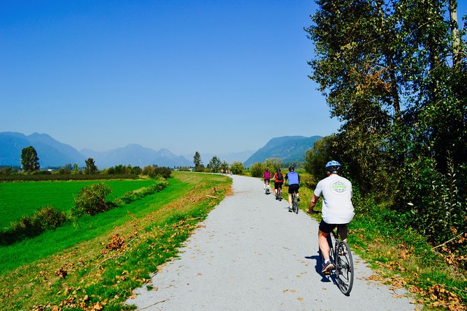 Vancouver Biking and Hiking Tour including Lunch - A morning among the trees at Lynn Canyon