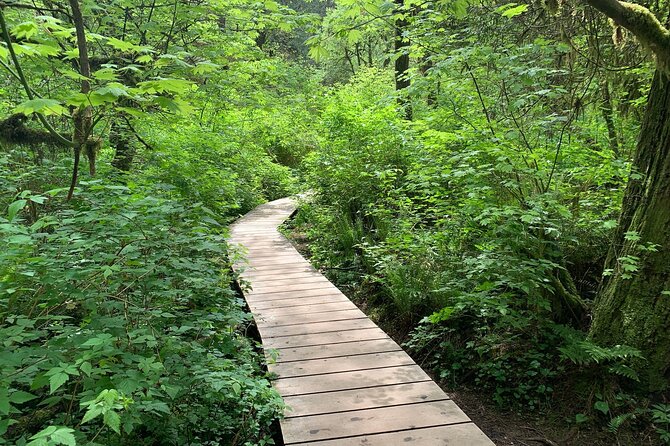 Vancouver Rainforest Hike with Waterfalls, Suspension Bridge, Old Growth Forest - Why this short trip works so well from Vancouver
