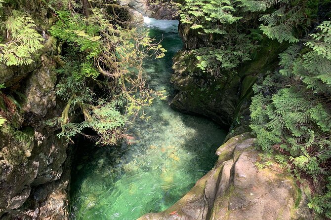 Vancouver Rainforest Hike with Waterfalls, Suspension Bridge, Old Growth Forest - Twin Falls and the creek trails