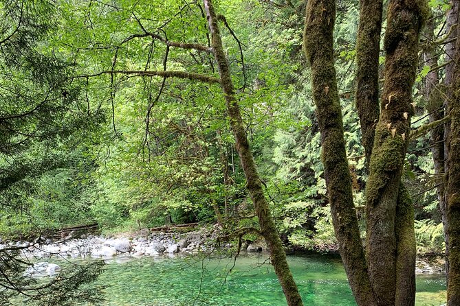 Vancouver Rainforest Hike with Waterfalls, Suspension Bridge, Old Growth Forest - How hard is the hike?