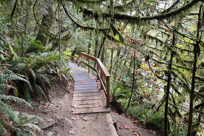 Vancouver Rainforest Hike with Waterfalls, Suspension Bridge, Old Growth Forest - Adrian makes the outing feel personal