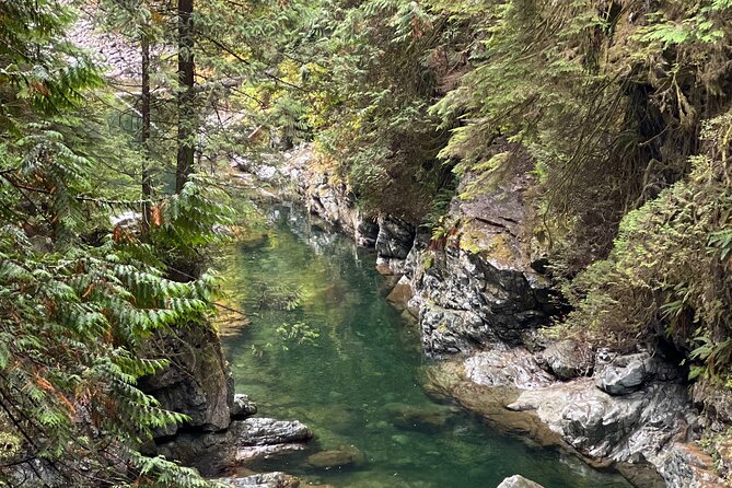Vancouver Rainforest Hike with Waterfalls, Suspension Bridge, Old Growth Forest - Is $58.56 a fair price?