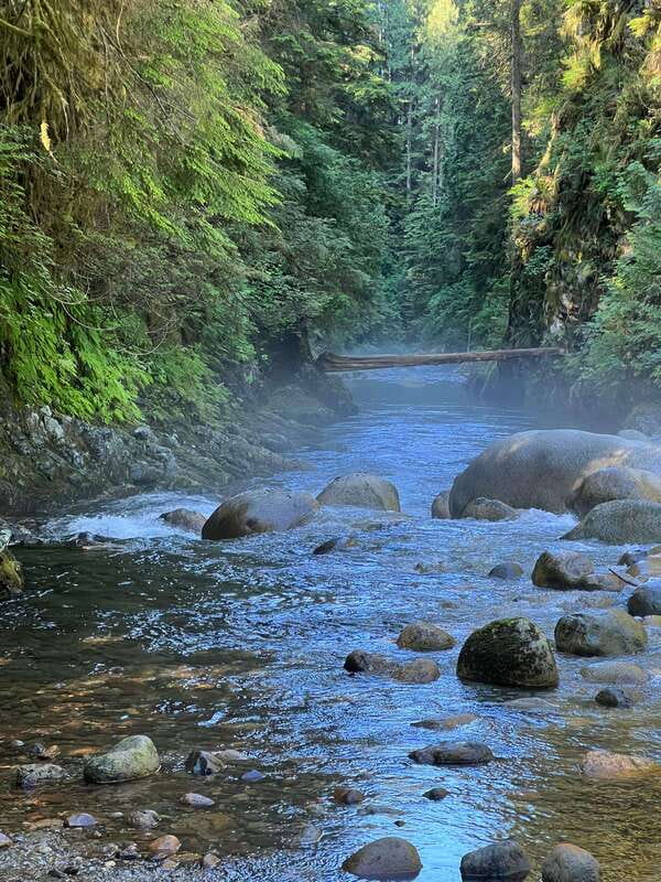 Vancouver: Rainforest Waterfall Hike and Suspension Bridge - Final verdict: should you book it?