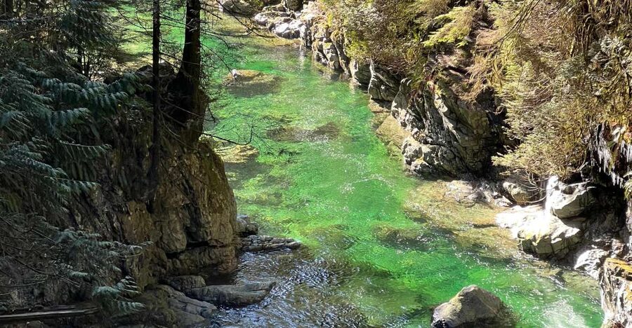 Vancouver: Rainforest Waterfall Hike and Suspension Bridge - What the guide adds to the morning