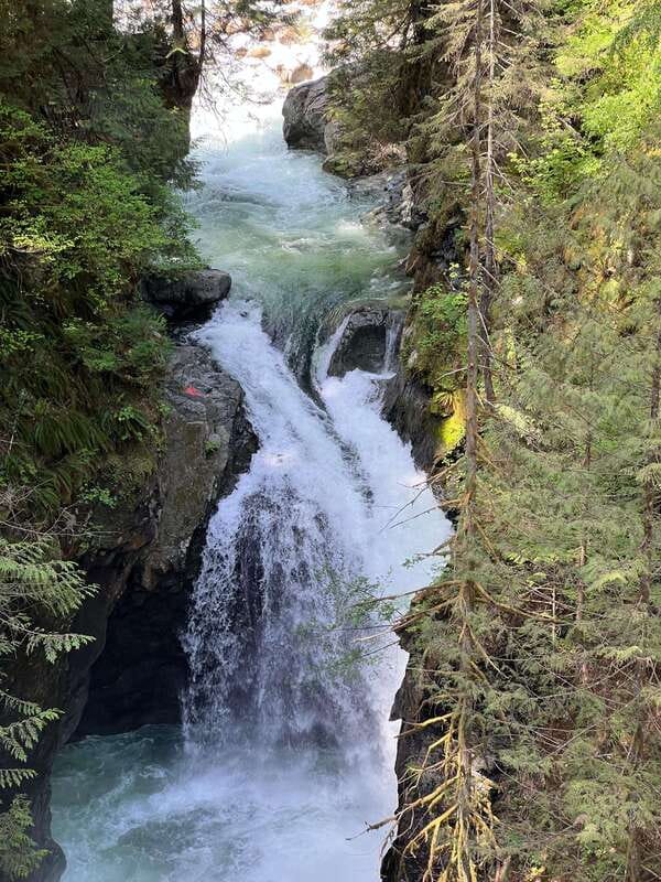 Vancouver: Rainforest Waterfall Hike and Suspension Bridge - Who should book this hike?