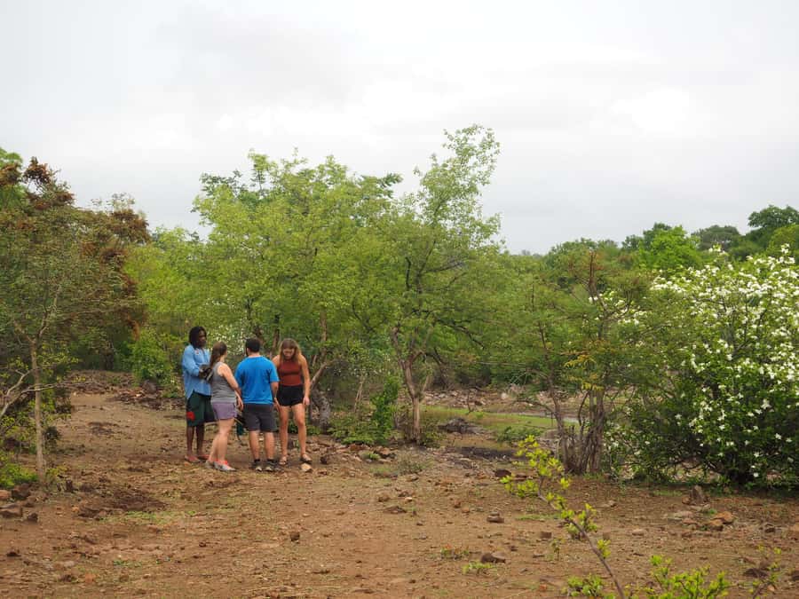 Victoria Falls Gorge Hike & Farm to Table Village Lunch - What the $120 price includes