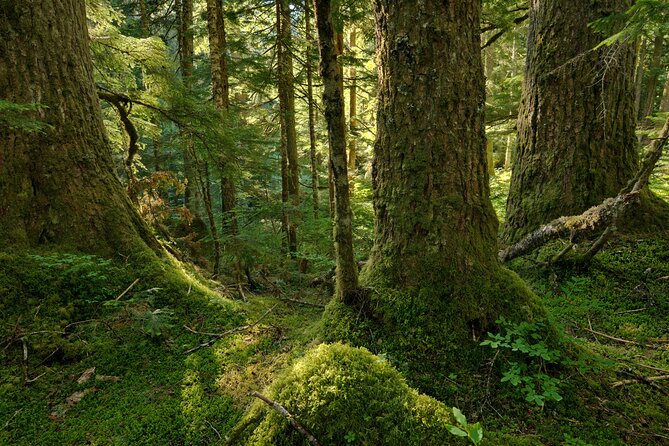 Visit Snoqualmie and Hike to Twin Falls (Transportation included) - Olallie State Park and the Twin Falls hike
