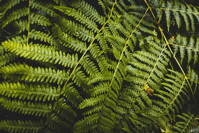 Visit Snoqualmie and Hike to Twin Falls (Transportation included) - How hard is the hike?
