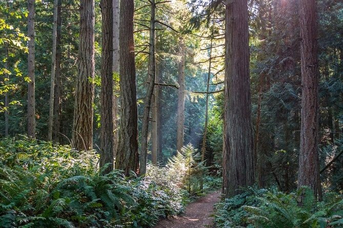 Visit Snoqualmie and Hike to Twin Falls (Transportation included) - Weather, clothing, and the small details that matter
