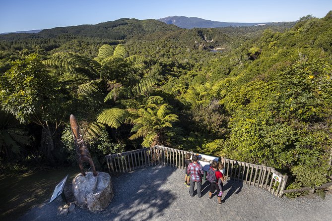 Volcanic Valley Self Guided Walking and Hiking at Waimangu - Birds, plants, and quiet stretches