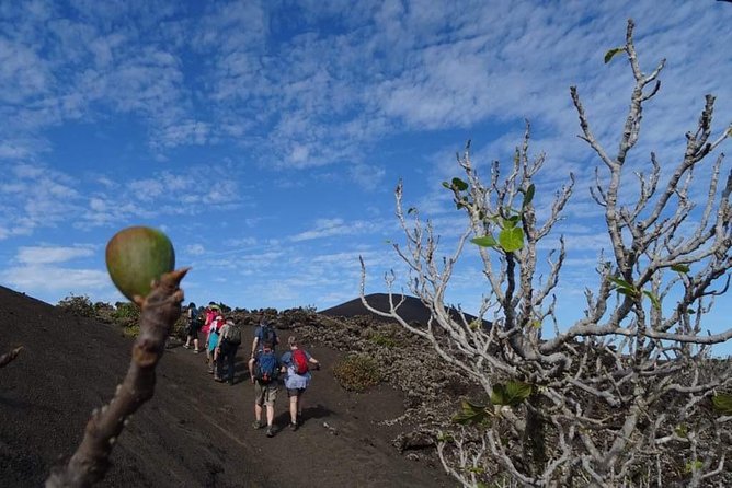 Volcano Trekking Tour (Timanfaya eruptions) - Why This Volcano Walk Is Worth Your Morning