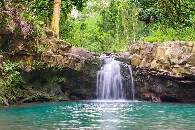 Waterfall & Rainforest Hiking Adventure with Hotel Pickup - The waterfalls, swimming pool, and optional jump