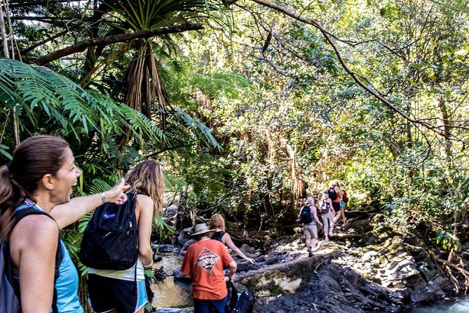 Waterfall & Rainforest Hiking Adventure with Hotel Pickup - Lunch beside the waterfall pool